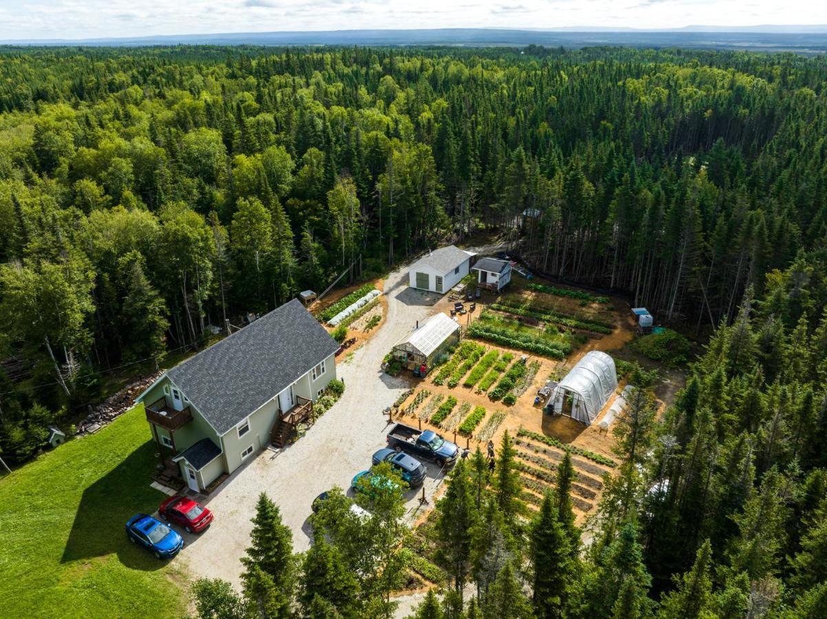 Upper Humber Settlement A Farmstay B&B Cormack Kültér fotó